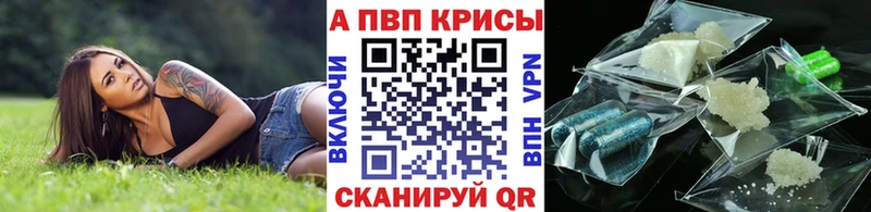 A PVP СК КРИС  Бежецк 
