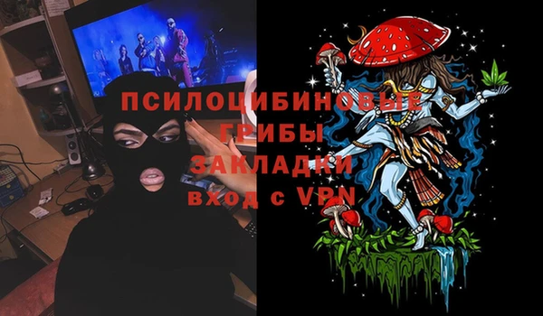 PSILOCYBIN Балахна