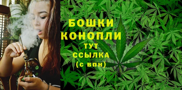 PSILOCYBIN Балахна